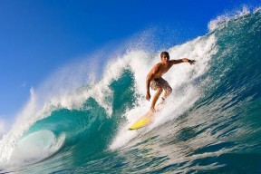 波尔曼全能表现助袋鼠队在橄榄球锦标赛中屡屡制胜