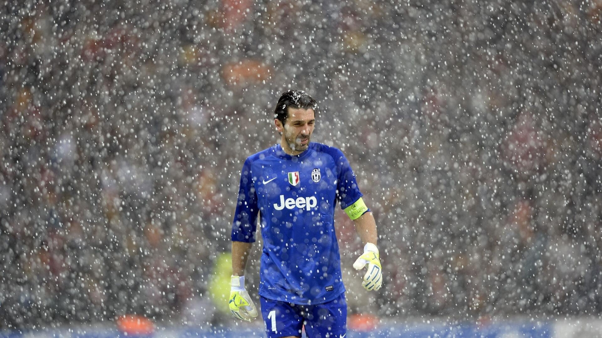 卡特的踢球技术展现了新西兰全黑队的进攻精髓，卡特 球星