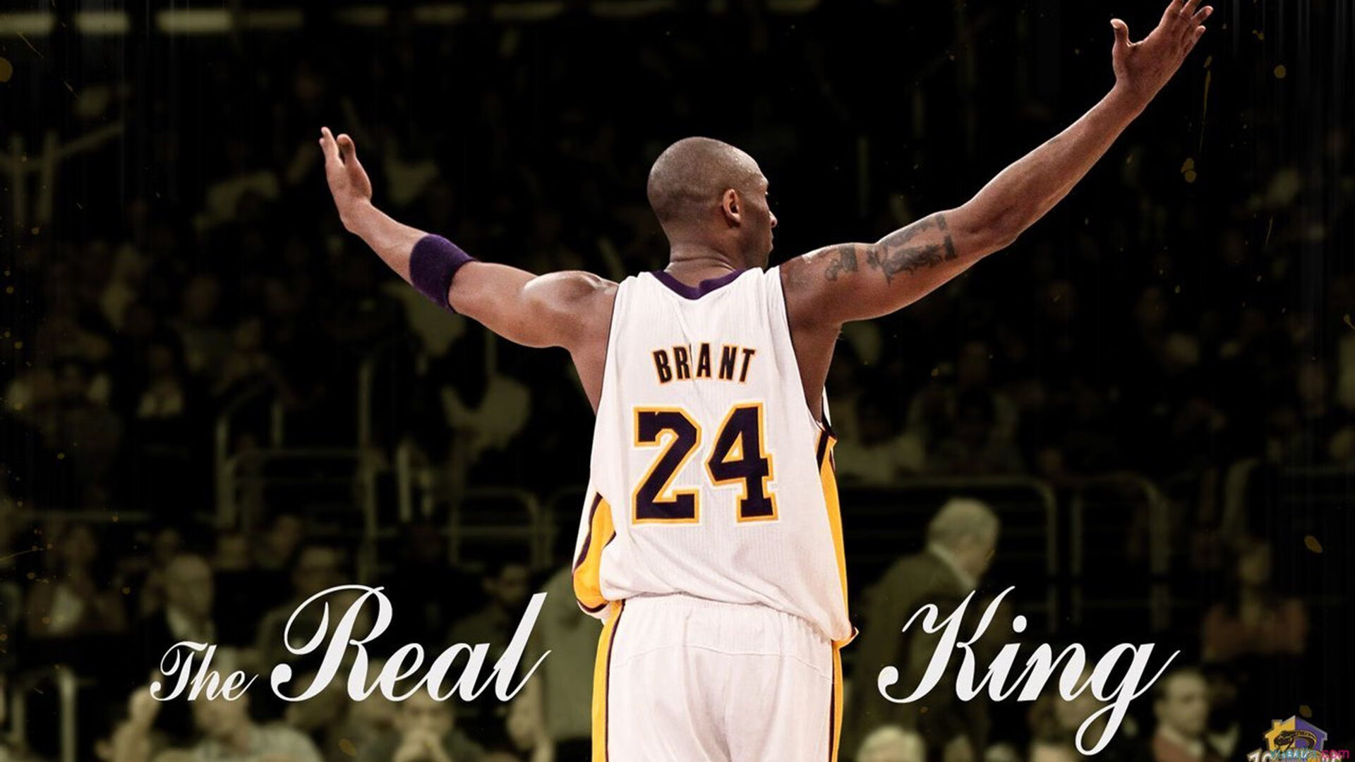 新闻中心发布体育展会进场说明及赞助方名单，体育展会的主题